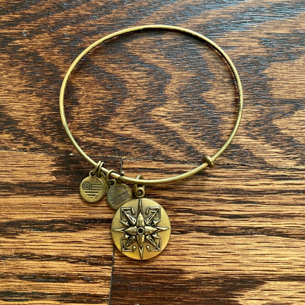 Alex and Ani charm bracelet